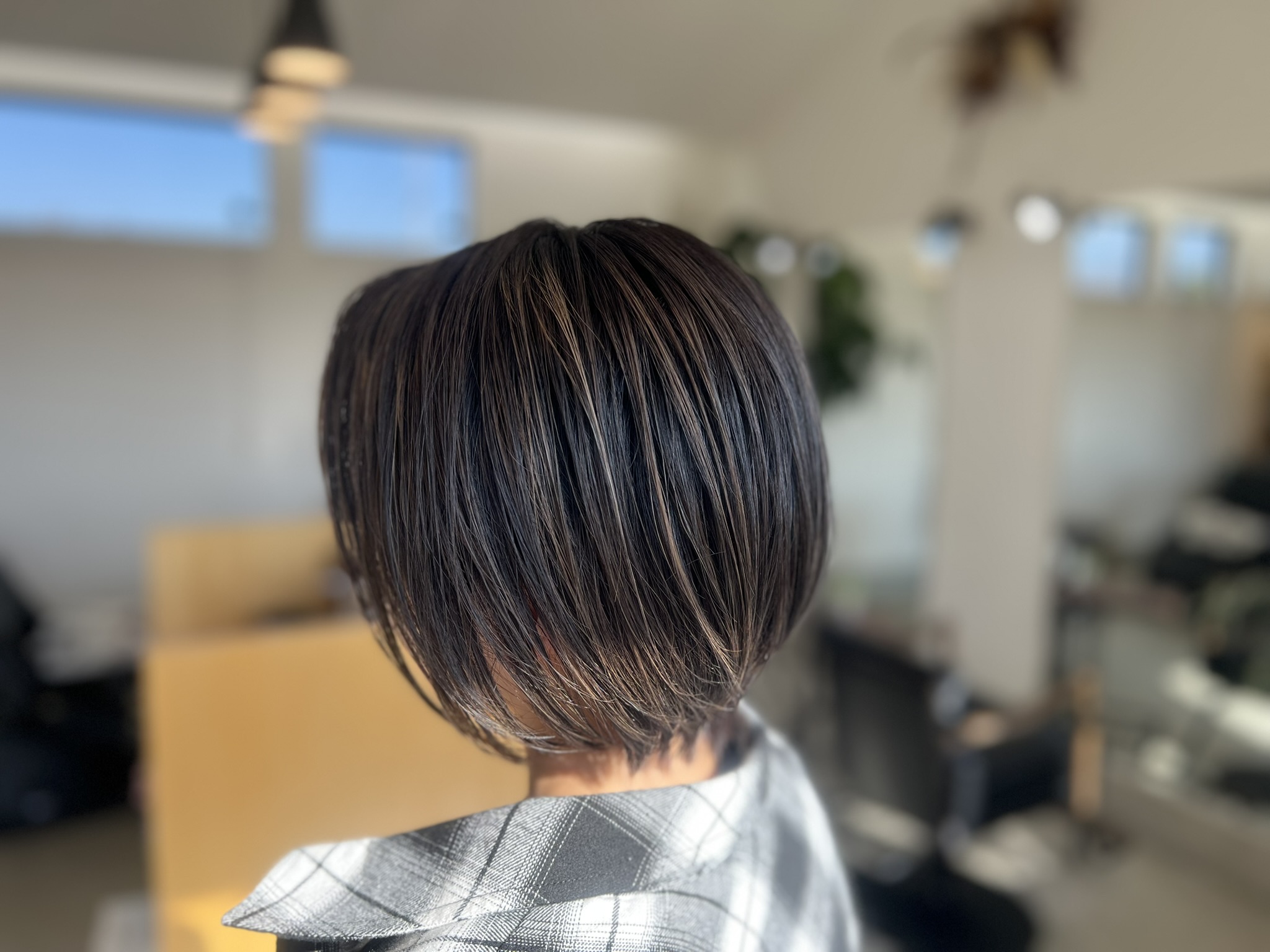 多彩なメニューをご用意